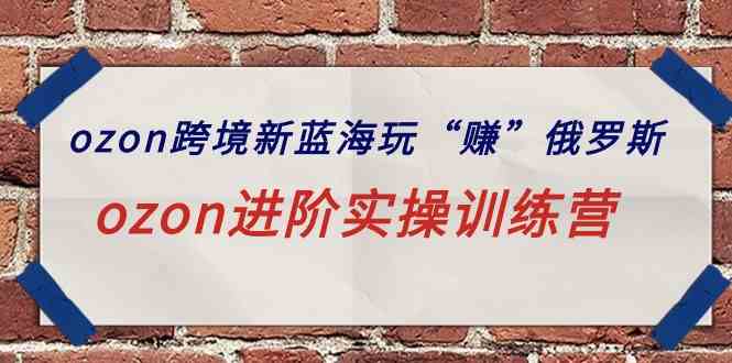 （9800期）ozon跨境新蓝海玩“赚”俄罗斯，ozon进阶实操训练营-呱呱学长