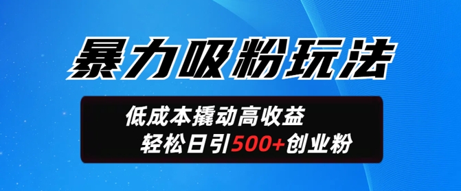 暴力吸粉玩法，日引500+精准创业粉，日变现轻松多张-呱呱学长