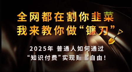 知识付费如何做到月入过W+，2025我来教你做“镰刀”【揭秘】-呱呱学长