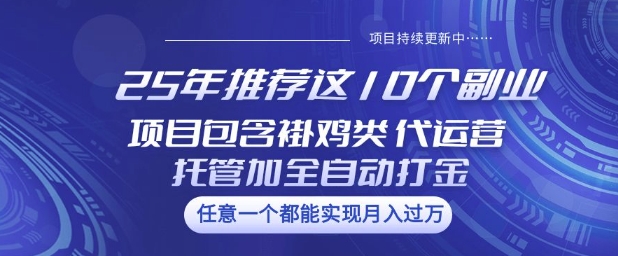 25年推荐这10个副业项目包含褂鸡类、代运营托管类、全自动打金类【揭秘】-呱呱学长