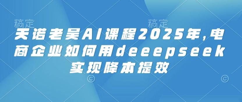 天诺老吴AI课程2025年，电商企业如何用deeepseek实现降本提效-呱呱学长