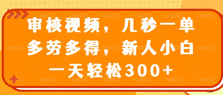 （14294期）审核视频，几秒一单，多劳多得，新人小白一天轻松300+-呱呱学长