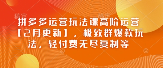 拼多多运营玩法课高阶运营【2月更新】，极致群爆款玩法，轻付费无尽复制等-呱呱学长