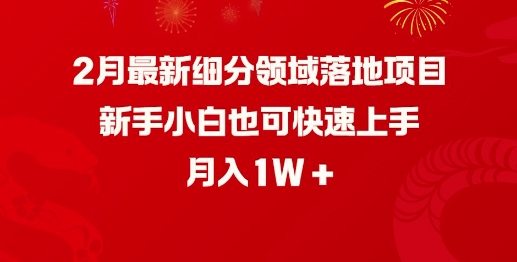 2月最新细分领域落地项目，新手小白也可快速上手，月入1W-呱呱学长