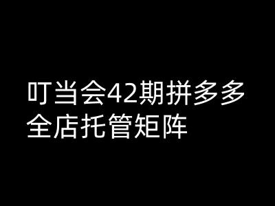 叮当会拼多多打爆班原创高阶技术第42期，拼多多全店托管矩阵-呱呱学长